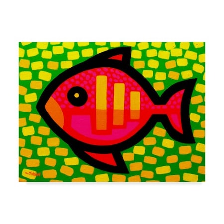 John Nolan 'Big Fish' Canvas Art,35x47